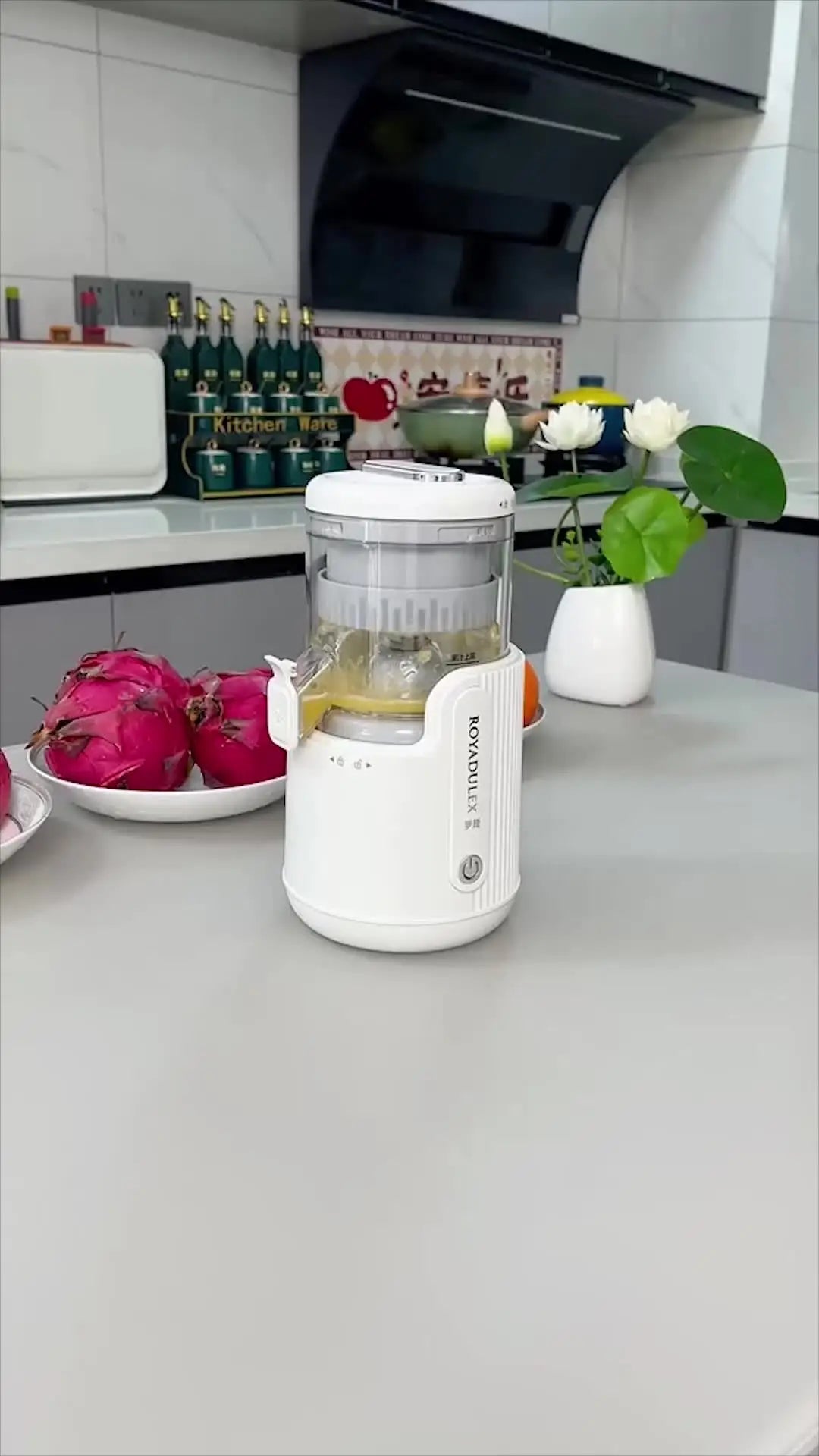 Extracteur de Jus d'Orange Électrique Ju479, Presse à Froid sans Fil, Petit Outil de Cuisine Portable - Cuisine élégante